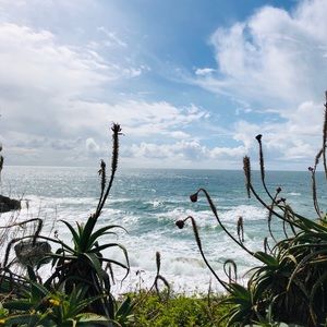 Meet your Posher, Kai